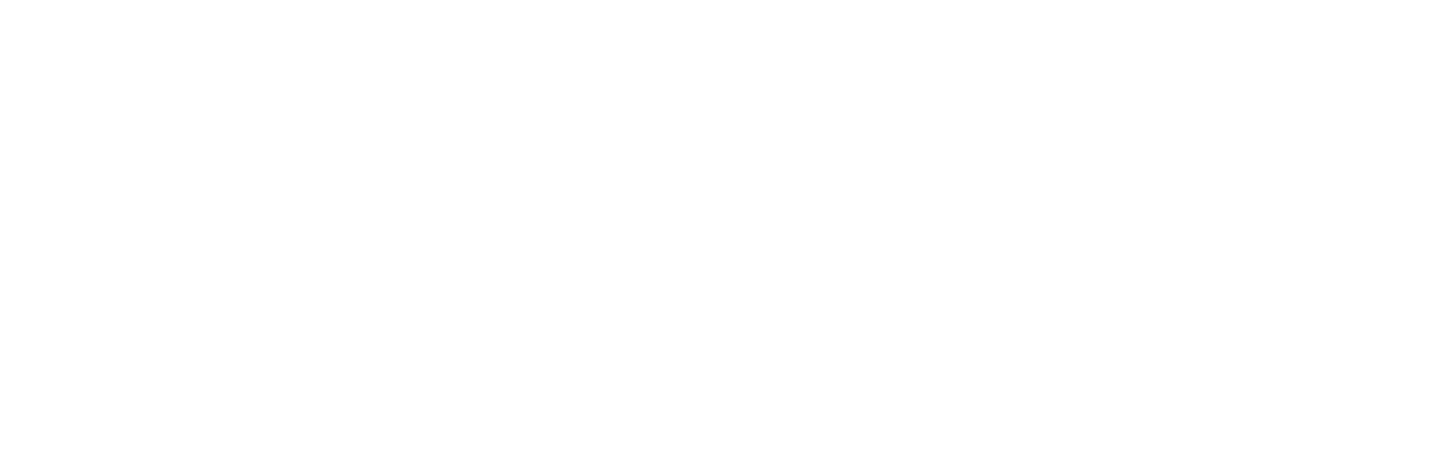 Klein Holland logo